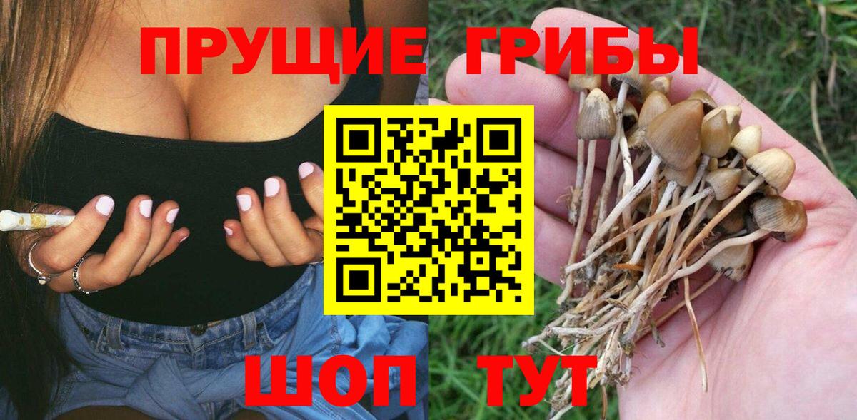 Елабуга  Галлюциногенные грибы мухоморы  Галлюциногенные грибы GOLDEN TEACHER  Вход с VPN 